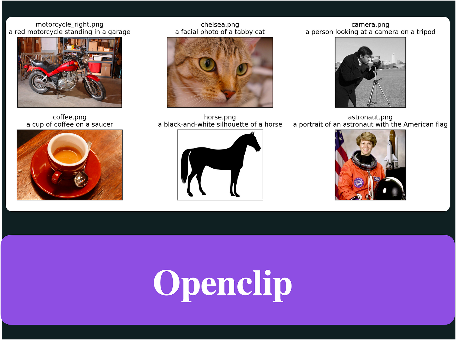 Openclip Made Easy: Expert Tips for Success