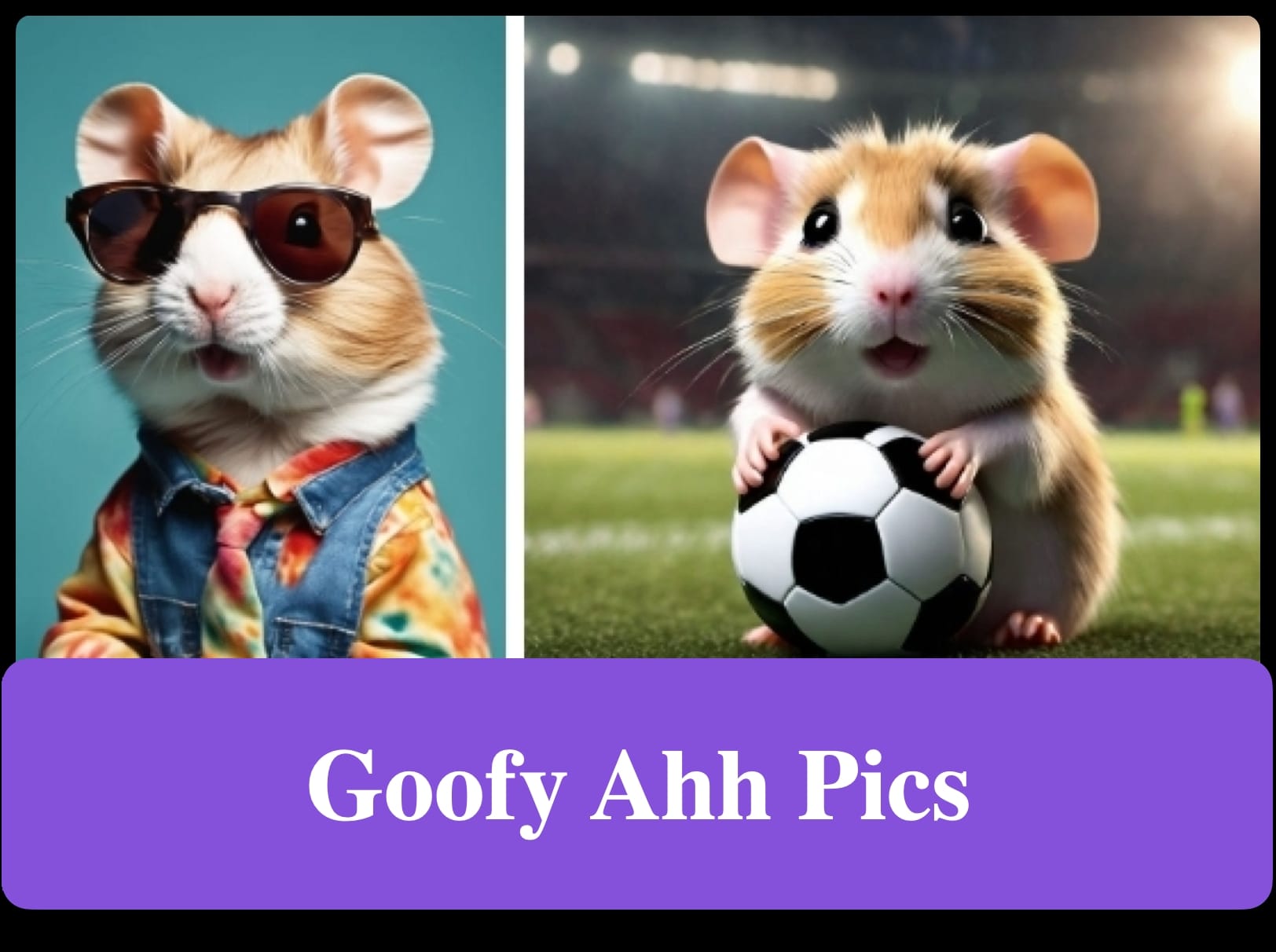 The Most Popular Goofy Ahh Pics of 2024