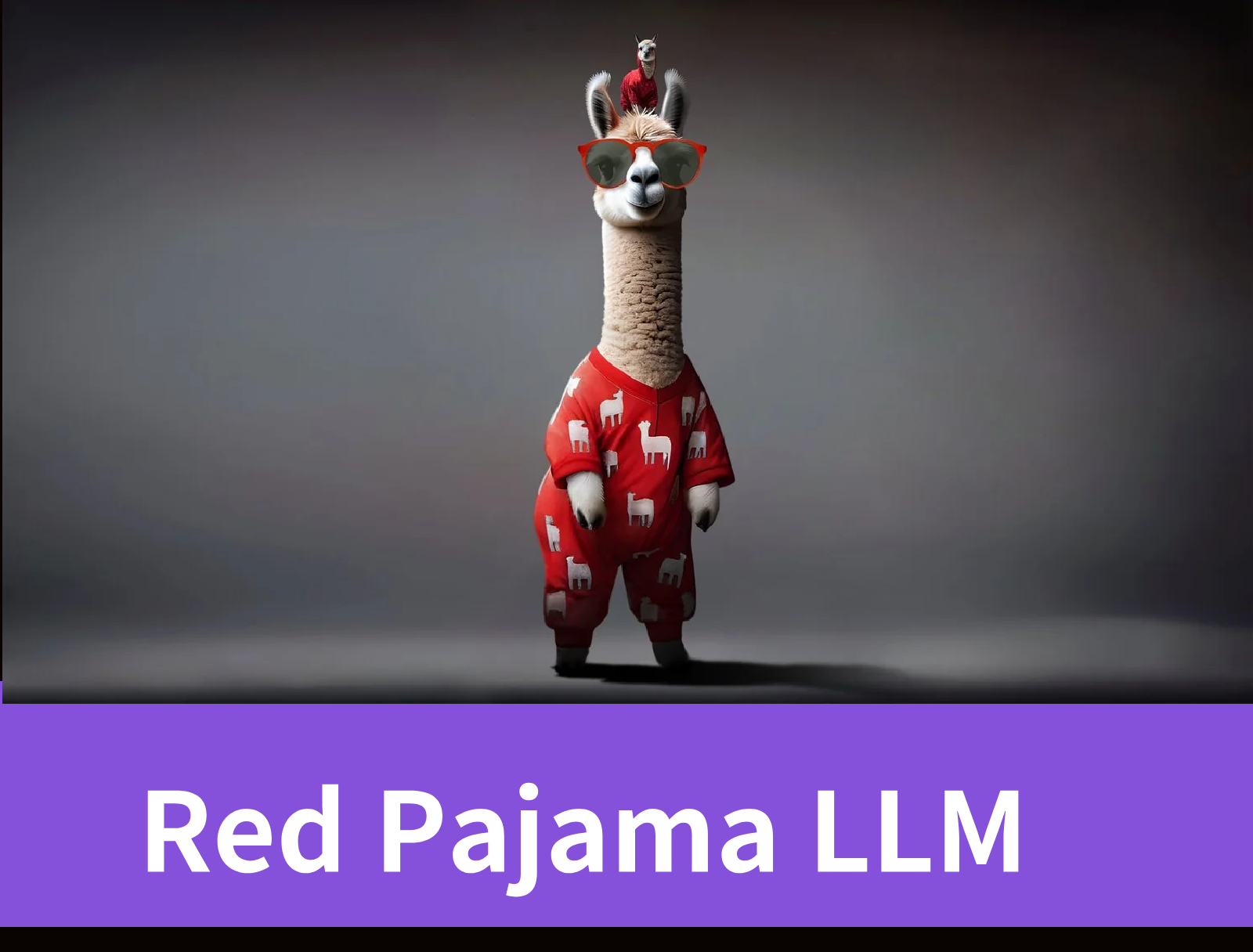 Red Pajama LLM: Public Dataset Analysis Revealed
