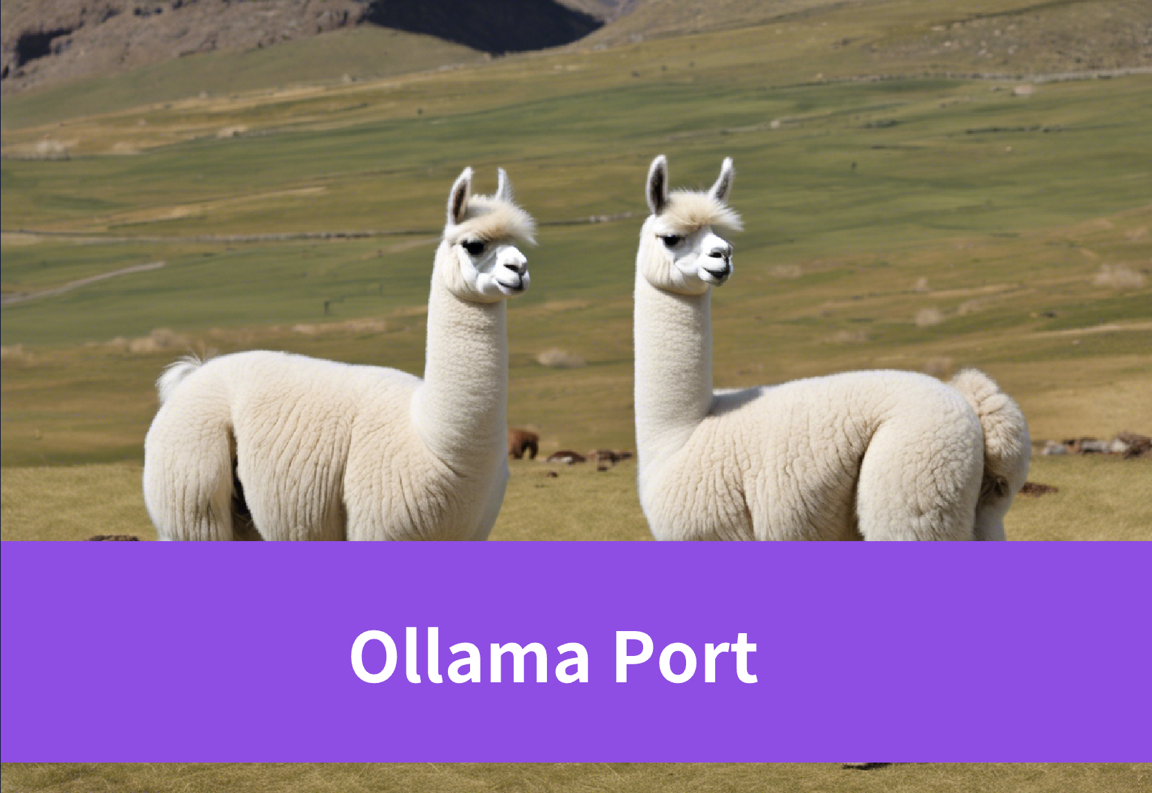 From Concept to Reality: A Guide to Efficient Ollama Port