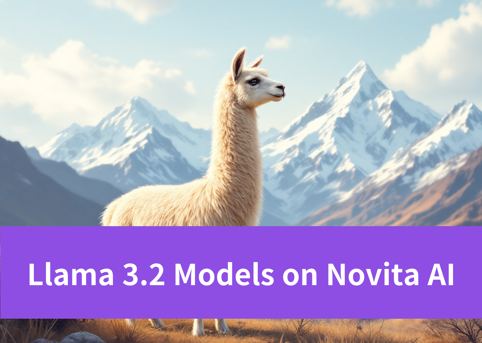 Llama 3.2 models on Novita AI