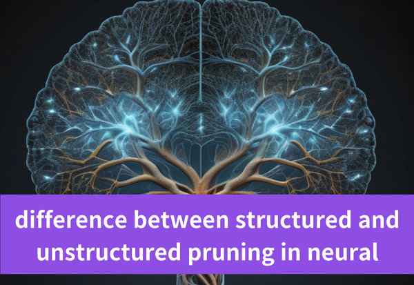 Understanding the Difference: Structured vs Unstructured Neural Pruning