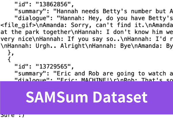 All You Need to Know about SAMSum Dataset